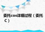 委托cos详细过程（委托 C）