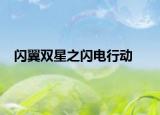 闪翼双星之闪电行动