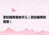 紧的偏旁是啥字儿（紧的偏旁部首是）