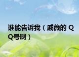 谁能告诉我（戚薇的 QQ号啊）