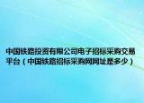 中国铁路投资有限公司电子招标采购交易平台（中国铁路招标采购网网址是多少）