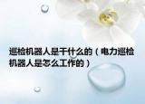 巡检机器人是干什么的（电力巡检机器人是怎么工作的）