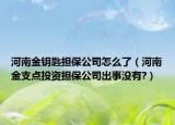 河南金钥匙担保公司怎么了（河南金支点投资担保公司出事没有?）