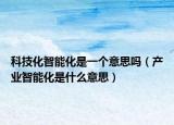 科技化智能化是一个意思吗（产业智能化是什么意思）