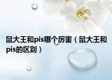 鼠大王和pis哪个厉害（鼠大王和pis的区别）