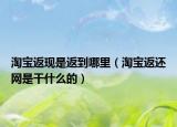 淘宝返现是返到哪里（淘宝返还网是干什么的）