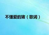 不懂爱的猪（歌词）