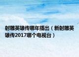 射雕英雄传哪年播出（新射雕英雄传2017哪个电视台）