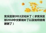 实况足球2011汉化补丁（求实况足球2010中文解说补丁以及如何使用谢谢了）
