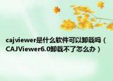 cajviewer是什么软件可以卸载吗（CAJViewer6.0卸载不了怎么办）