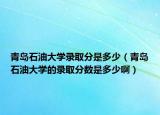 青岛石油大学录取分是多少（青岛石油大学的录取分数是多少啊）