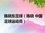陈晓东足球（陈晓 中国足球运动员）