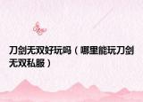 刀剑无双好玩吗（哪里能玩刀剑无双私服）