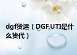 dgf货运（DGF,UTI是什么货代）