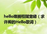 hello璁搁榿闊宠瘧（求许阁的Hello歌词）