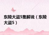 东陵大盗5集解说（东陵大盗5）