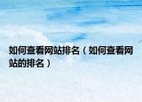 如何查看网站排名（如何查看网站的排名）
