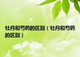 牡丹和芍药的区别（牡丹和芍药的区别）
