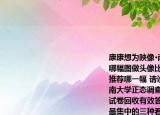 康康想为映像•南京人公众号配制头像如图哪幅图做头像比较好（结合以下文段你想推荐哪一幅 请说明理由《金陵晚报》和东南大学正态调查中心联合发放了180份调查试卷回收有效答卷171份关于南京人的性格最集中的三种看法是淳朴热情和保守从某种意义上来说南京人的性格是六朝精神在民间的残留也就是所谓菜佣酒保都有六朝烟水气自由散漫做事不紧不慢这点悠闲是老祖宗留下来的（选自叶兆言《南京人》）