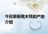 今日更新黑木耳的产地介绍