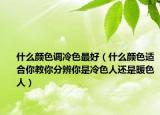 什么颜色调冷色最好（什么颜色适合你教你分辨你是冷色人还是暖色人）