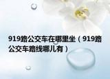 919路公交车在哪里坐（919路公交车路线哪儿有）