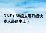 DNF（68级去哪升级快 本人装备中上）