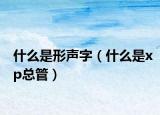 什么是形声字（什么是xp总管）