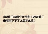 dnf补丁放哪个文件夹（DNF补丁去哪里下下了之后怎么搞）