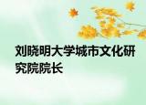 刘晓明大学城市文化研究院院长