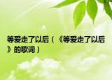 等爱走了以后（《等爱走了以后》的歌词）