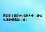 何家劲主演的电视剧大全（武侠电视剧何家劲主演）