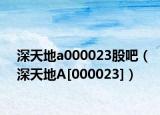 深天地a000023股吧（深天地A[000023]）