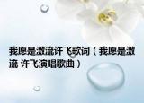 我愿是激流许飞歌词（我愿是激流 许飞演唱歌曲）