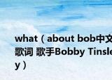 what（about bob中文歌词 歌手Bobby Tinsley）