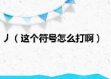 丿（这个符号怎么打啊）