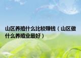山区养殖什么比较赚钱（山区做什么养殖业最好）