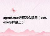 agent.exe进程怎么禁用（ose.exe怎样禁止）