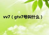 vv7（gtv7号叫什么）