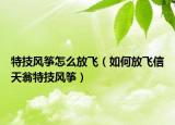 特技风筝怎么放飞（如何放飞信天翁特技风筝）