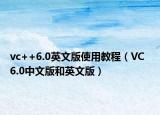 vc++6.0英文版使用教程（VC  6.0中文版和英文版）
