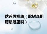 耿莲凤祖籍（耿树森祖籍是哪里啊）