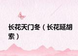 长花天门冬（长花延胡索）
