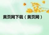 黄页网下载（黄页网）