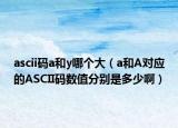 ascii码a和y哪个大（a和A对应的ASCII码数值分别是多少啊）