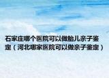 石家庄哪个医院可以做胎儿亲子鉴定（河北哪家医院可以做亲子鉴定）