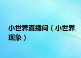 小世界直播间（小世界现象）