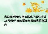 当日最新消息 猪价涨疯了即将冲破13元每斤 发改委发布通知猪价涨到头