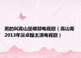 男的叫高山是哪部电视剧（高山青 2013年吴卓翰主演电视剧）