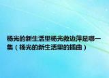 杨光的新生活里杨光救边萍是哪一集（杨光的新生活里的插曲）